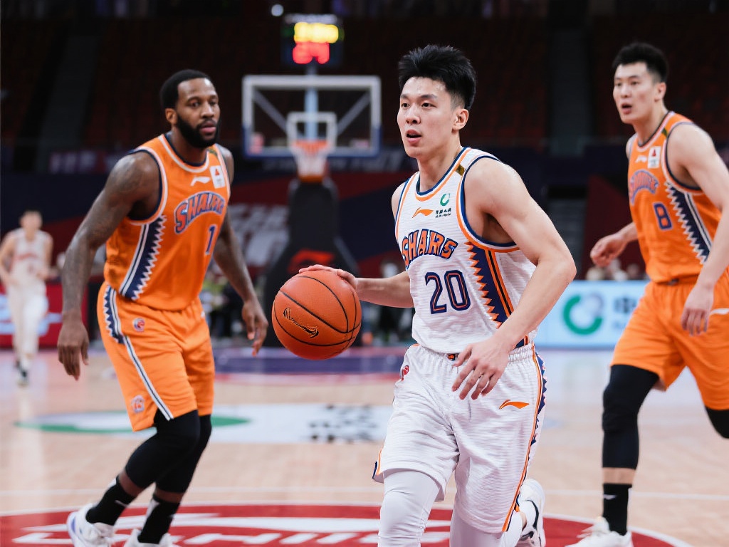 场而自主选 场而自主选